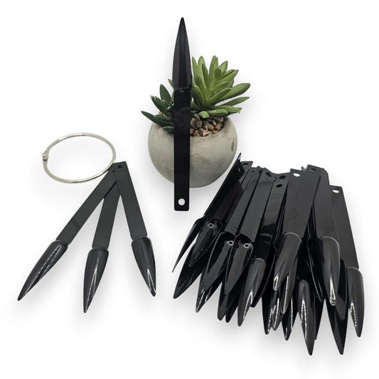 Bâtons démonstrateurs noirs (40)